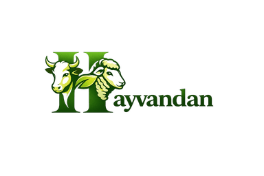 Hayvandan